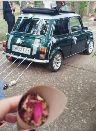 Rover MINI 1993