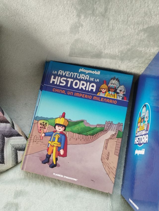 Lote de Playmobil libros