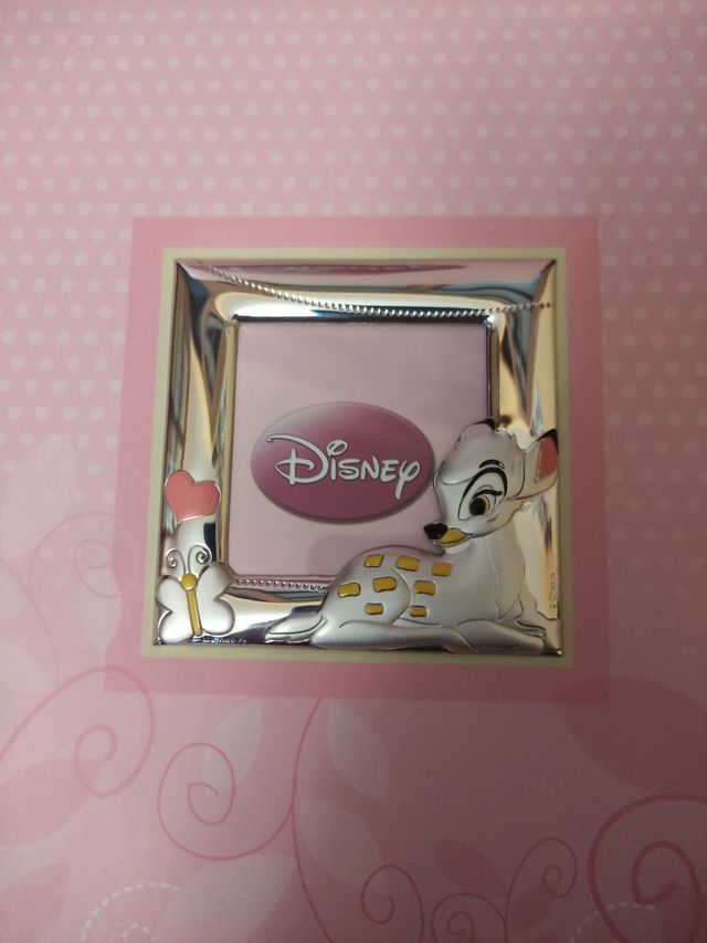 Album de fotos Disney plata