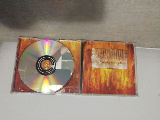 Nine inch nails: The Downward spiral