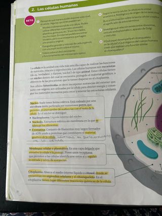 Libro Biología y Geología 3 ESO
