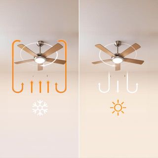 Ventilador de techo