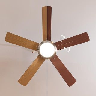 Ventilador de techo