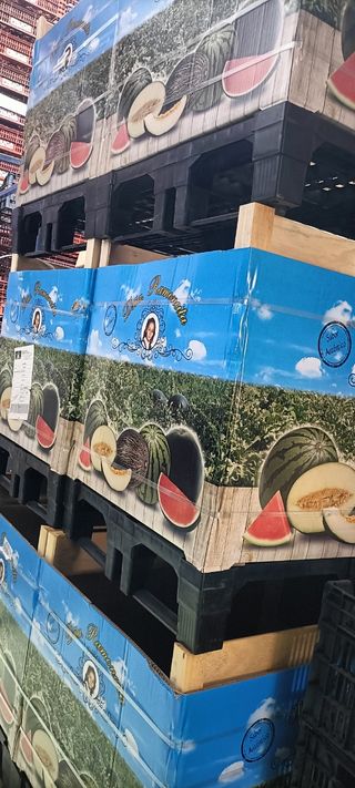 Grin box para melones y sandias