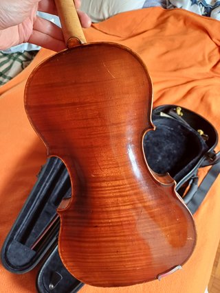 Violín húngaro S. XIX luthier Armin Sternberg