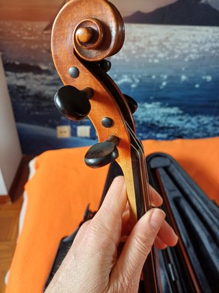 Violín húngaro S. XIX luthier Armin Sternberg