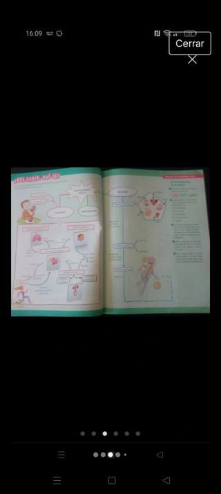 Libro de ciencias naturales 6 primaria