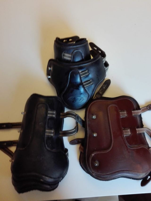 Stinchiere nuovepony e cavallo