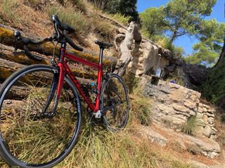 Bicicleta vitoria