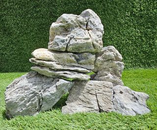 Roca Seiryu acuarios