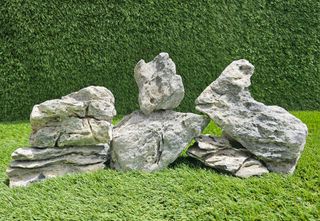 Roca Seiryu acuarios