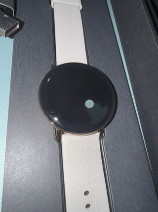 Zepp E Circle - Smartwatch Moon Grey Visita 866513