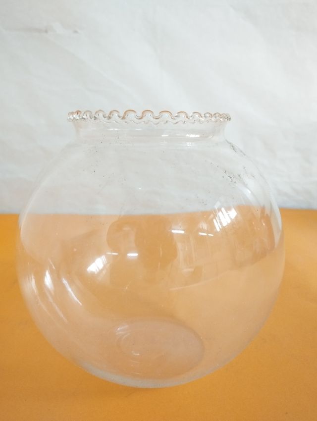 Boccia in vetro per pesci 