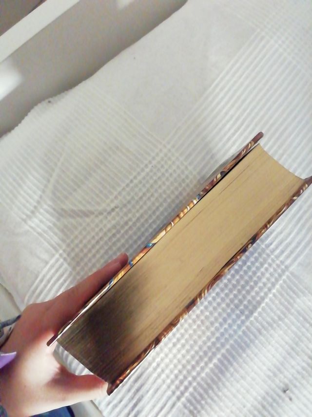 Libro geronimo stilton