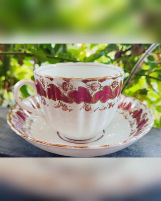 Tazza inglese 1790 1800