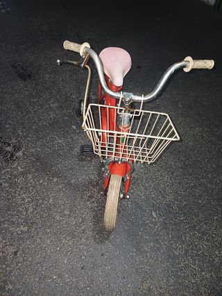 Graziella Vicini Bimba 