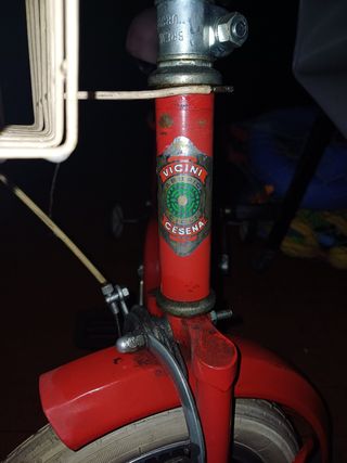 Graziella Vicini Bimba 