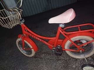 Graziella Vicini Bimba 