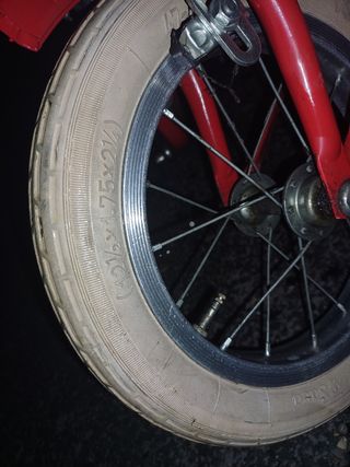 Graziella Vicini Bimba 