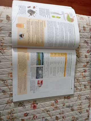 Fisica y quimica 4 ESO Santillana