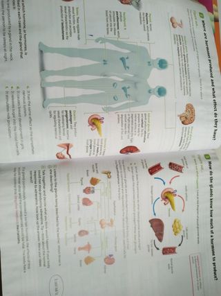 Biology and geology revuela sm EN IN