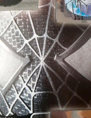 ALBUM SPIDERMAN PANINI