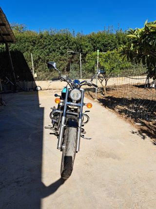 Custom honda shadow vt 600 c 