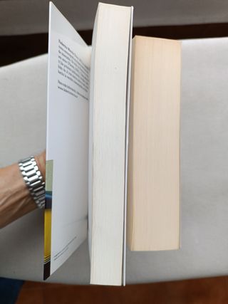 LOTE FEDERICO MOCCIA