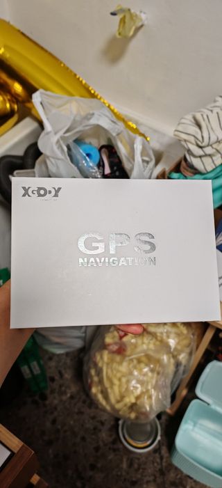 GPS Camión