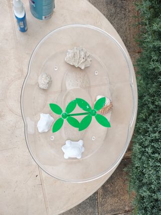 Pecera para tortugas 