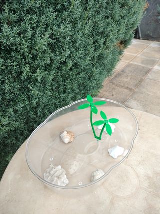 Pecera para tortugas 
