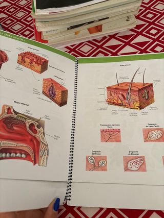 Atles biologia i geologia 3 ESO