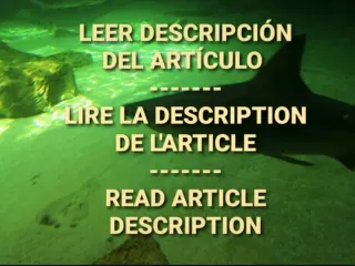 Vestido Bordado Señora NUEVO con ETIQUETA