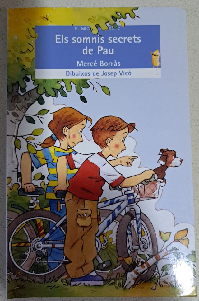 Llibre ELS SOMNIS SECRETS  DE PAU