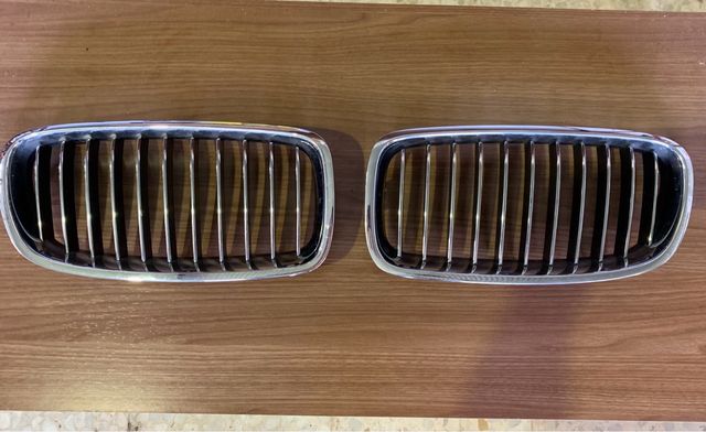 Parrilla Riñones BMW