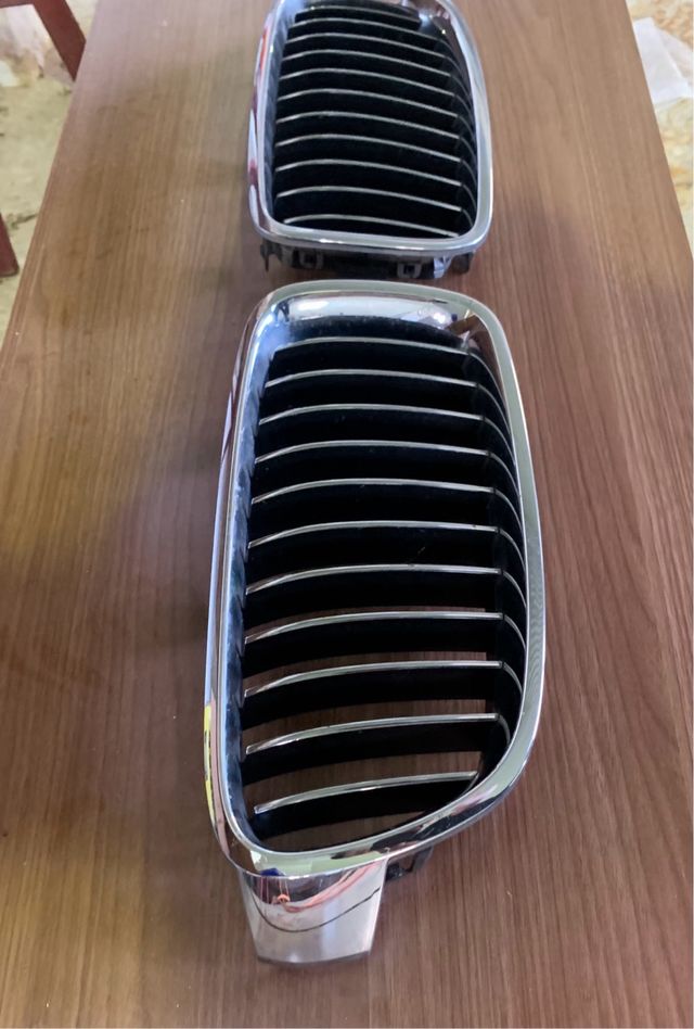 Parrilla Riñones BMW