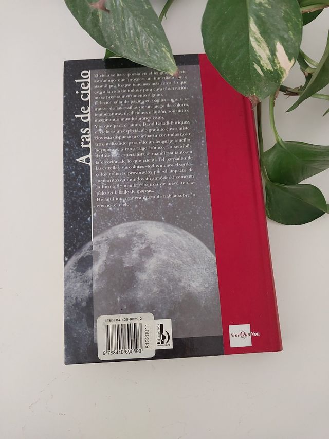 A ras de cielo David Enríquez