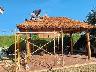 Sombrillas de carri verzo mimbre