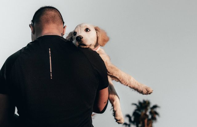 Paseador de perros Girona — paseos adaptados