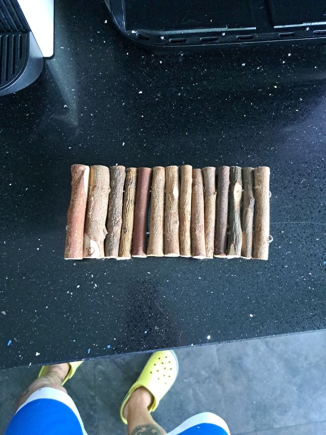 Rampa jamster o pajaro