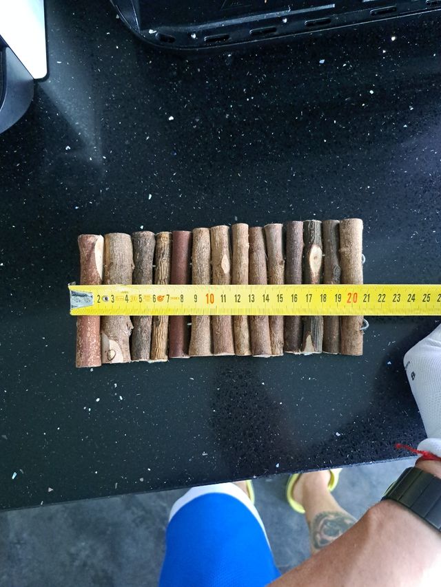 Rampa jamster o pajaro