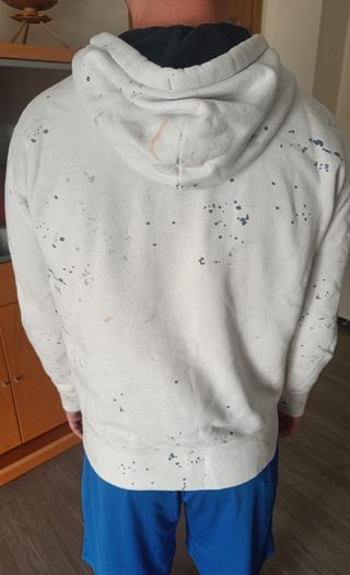 Sudadera Hollister 