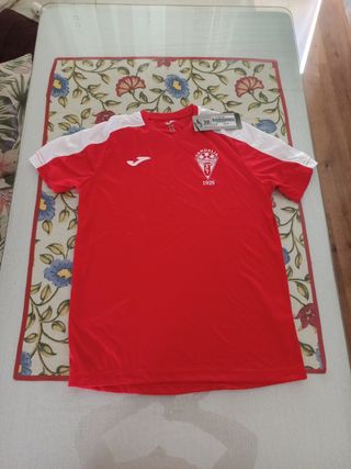 Camiseta futbol Joma