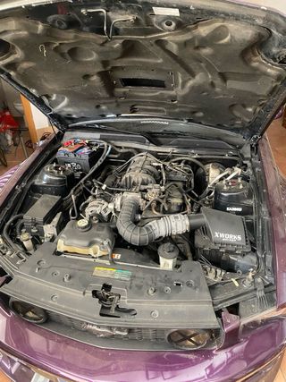 🚨 Ford Mustang 2008 Stance ÚNICO! 🚨