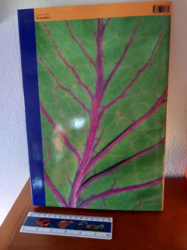 Los ríos, caminos de agua y vida. Com Valenciana