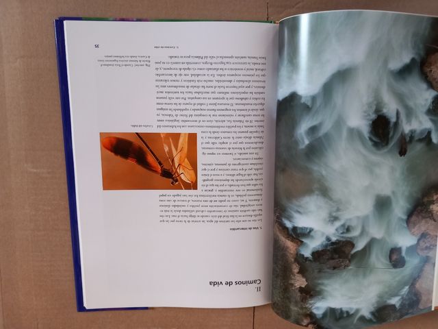 Los ríos, caminos de agua y vida. Com Valenciana