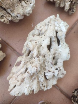 Lote piedras de acuario