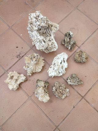 Lote piedras de acuario