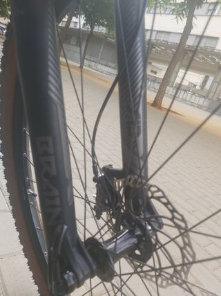 Bicicleta mtb 29 pulgadas   specialized