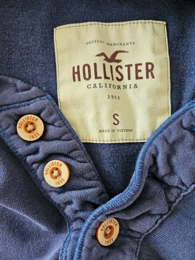 Polo blu Hollister